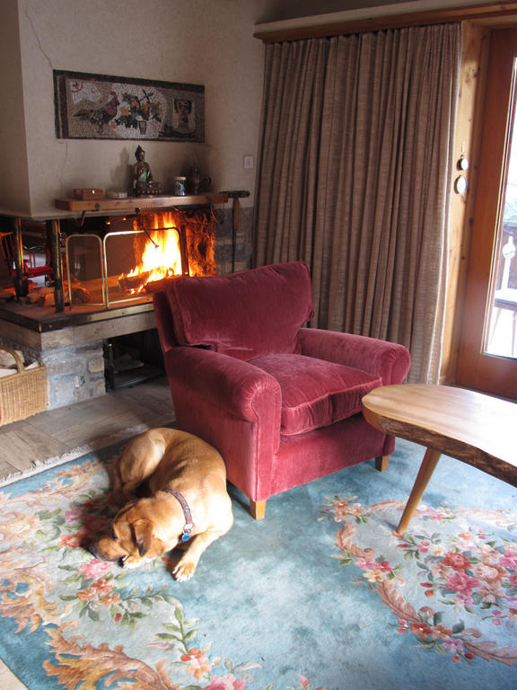 Bed & Breakfast Arche De Noé *