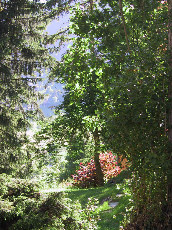 Arche De Noé