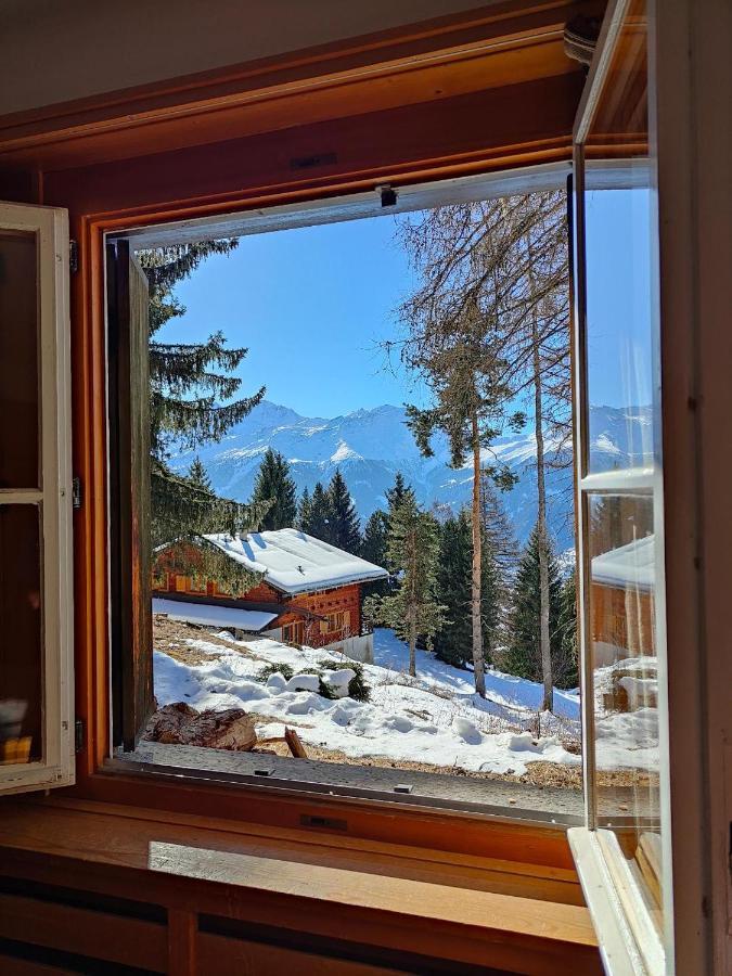 Bed & Breakfast Arche De Noe B&B