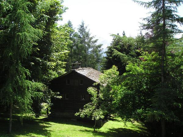 Bed & Breakfast Arche De Noe B&B Verbier